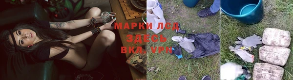МДПВ Алзамай